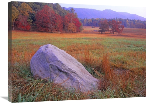 Global Gallery GCS-397173-2432-142 24 x 32 in. Boulder & Autumn Colore