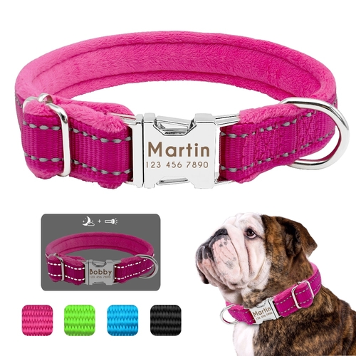 Personalzied Dog Tag Collar Perro Padded Nylon Pet