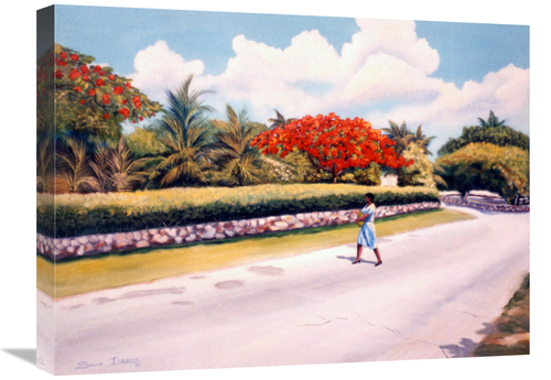 Global Gallery GCS-480445-1824-142 18 x 24 in. Poncianna Drive Art Pri