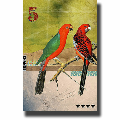 Artistic Home Gallery 1624N747IG Birds by Elo Marc Premium Gallery-Wra