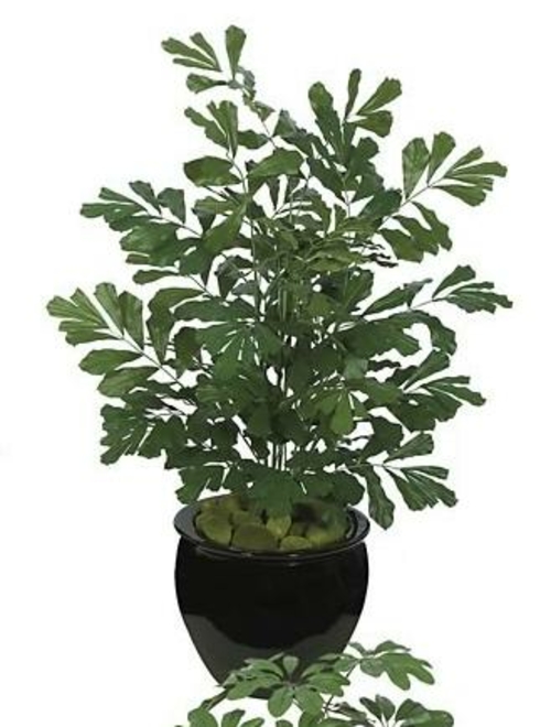 Autograph Foliages PR-87025 - 75 Inch Fire Retardant Sugar Palm - Gree