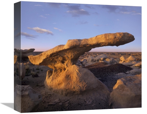 Global Gallery GCS-396606-16-142 16 in. Eroded Rock, Bisti Badland