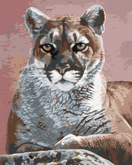 Paint by Numbers - COUGAR PORTRAIT (AL AGNEW)