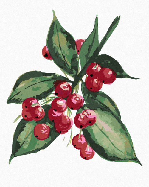 Paint by Numbers - HOLLY TREE BRANCH WITH RED BERRIES (ALEXANDRIA