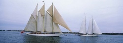 Sailboats in the sea  Narragansett Bay  Newport  Newport County  Rhode