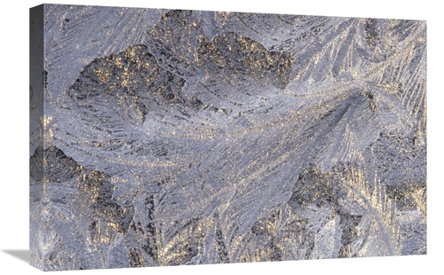 Global Gallery GCS-395751-1624-142 16 x 24 in. Frost Crystal Formation