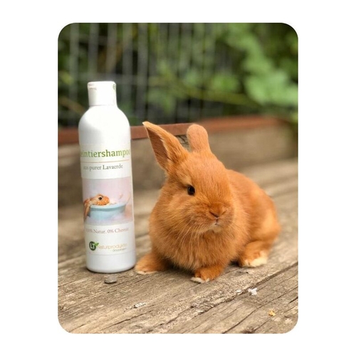 Rabbit shampoo store