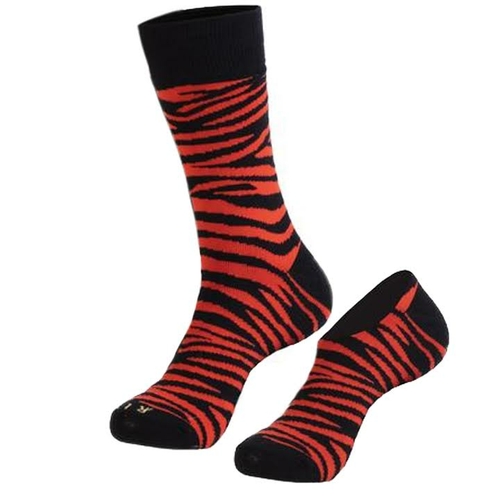 The Zebra Crew + No-Show Sock Set