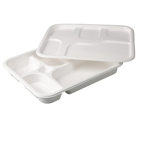 Compostable Meal Tray Natural Sugarcane Bagasse Thali