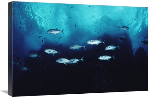 Global Gallery GCS-450744-2030-142 20 x 30 in. Cavalla School Patrolli