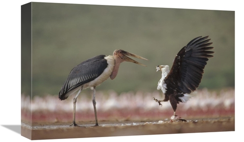 Global Gallery GCS-396434-1218-142 12 x 18 in. African Fish Eagle Quar