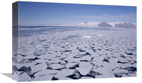 Global Gallery GCS-395670-1218-142 12 x 18 in. Sea Ice Break-Up, A