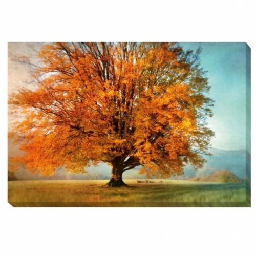 Artistic Home Gallery 2436311G Autumns Passion Canvas Art - 24 in.