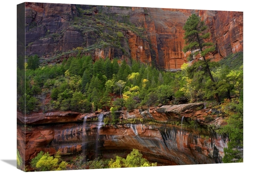 Global Gallery GCS-452140-1824-142 18 x 24 in. Waterfalls At Emerald P