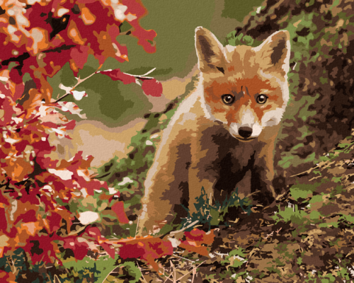 Paint by Numbers - LITTLE FOX