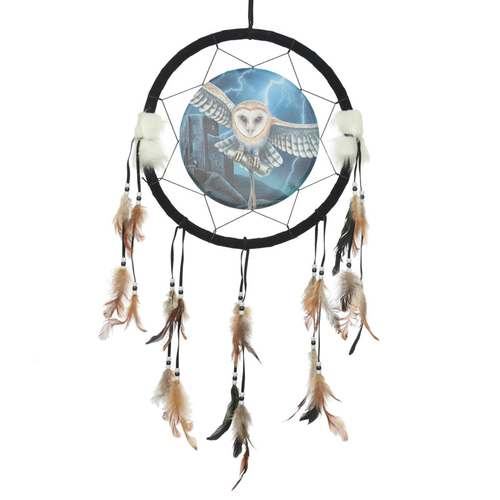 Decorative Heart of the Storm Owl Design Dreamcatcher Medium