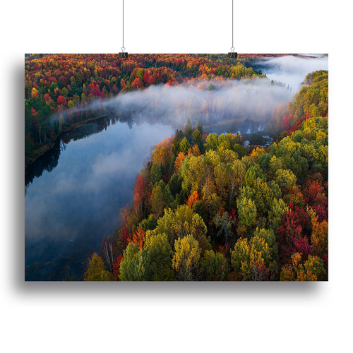 Autumn Symphony Ii Canvas Print or Poster