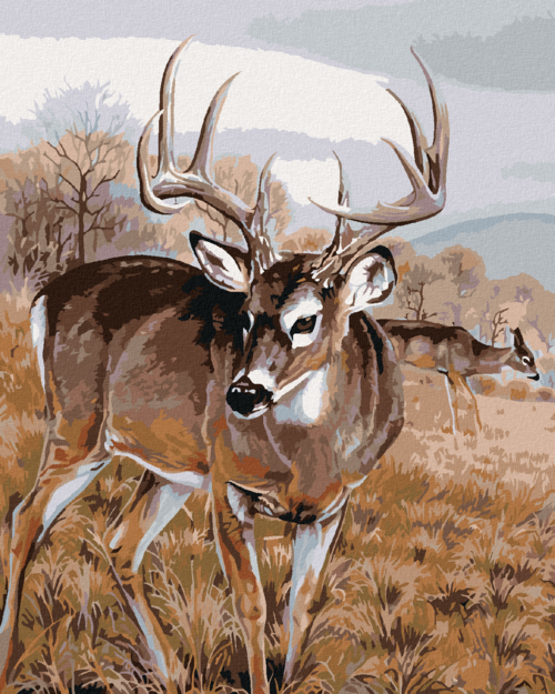 Paint by Numbers - DEER WITH A DOE IN A MEADOW (AL AGNEW)