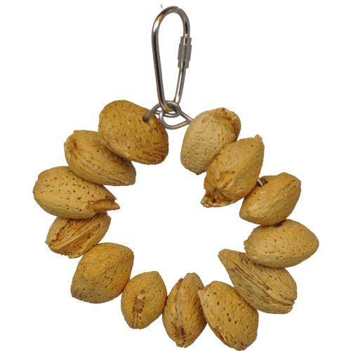 A&E Cage HB893 Almond Nut Ring Jr. Bird Toy
