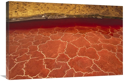 Global Gallery GCS-395769-2436-142 24 x 36 in. Soda Formations on the 