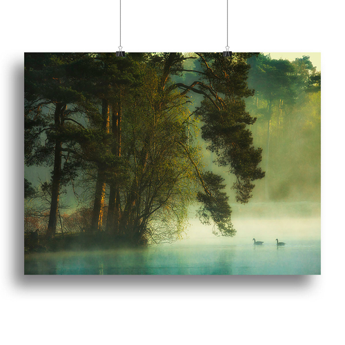 Dutch Fen Canvas Print or Poster