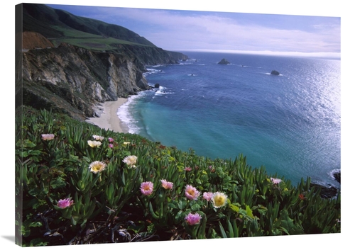 Global Gallery GCS-396774-3040-142 30 x 40 in. Ice Plant or Hottentot 