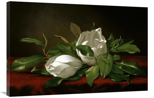 Global Gallery GCS-282179-40-142 40 in. Magnolia Art Print - Martin Jo