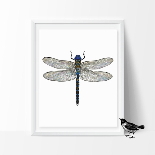 Beautiful Dragonfly Art Print Poster Wall Pictures