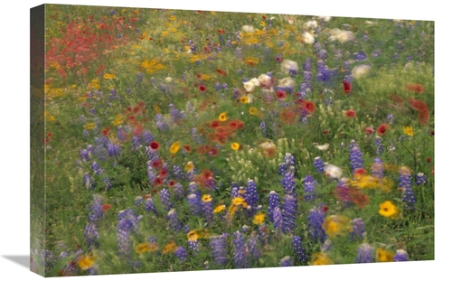 Global Gallery GCS-395930-1624-142 16 x 24 in. Wildflowers Blowing in 