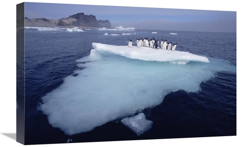 Global Gallery GCS-451544-1624-142 16 x 24 in. Adelie Penguins Crowdin