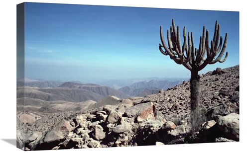 Global Gallery GCS-451082-1624-142 16 x 24 in. Atacama Desert Located 