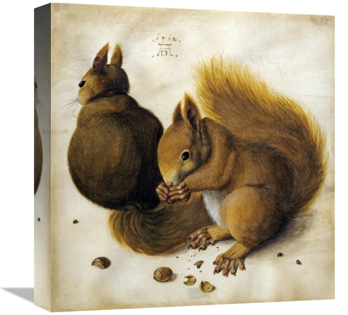 Global Gallery GCS-266558-16-142 16 in. Two Squirrels, One Eating 