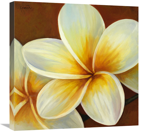 Global Gallery GCS-137413-2424-142 24 x 24 in. Frangipani I Art Print 