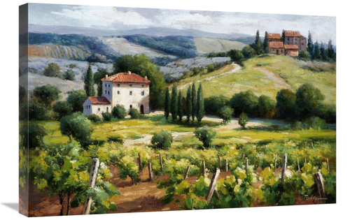 Global Gallery GCS-132520-2030-142 20 x 30 in. Vineyard Trail Art Prin