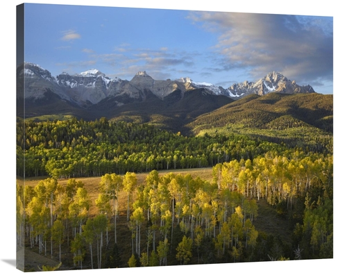 Global Gallery GCS-396775-36-142 36 in. Quaking Aspen Forest & Mount S