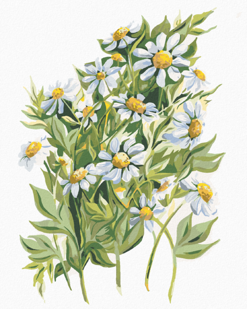 Paint by Numbers - DAISIES (ALEXANDRIA GILBERT)