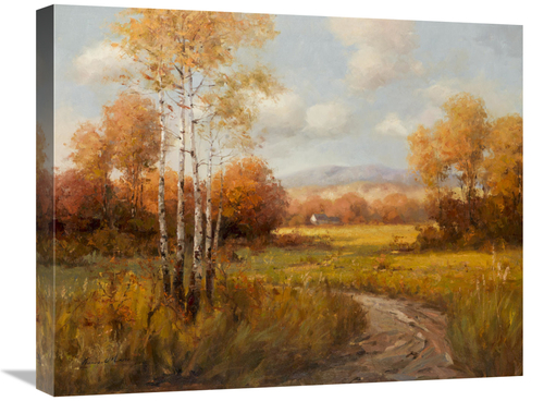 Global Gallery GCS-132456-2024-142 20 x 24 in. Countryside in the Fall