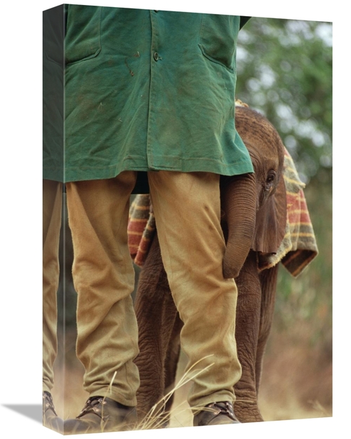 Global Gallery GCS-452953-1218-142 12 x 18 in. Orphan Baby Lablon Hidi