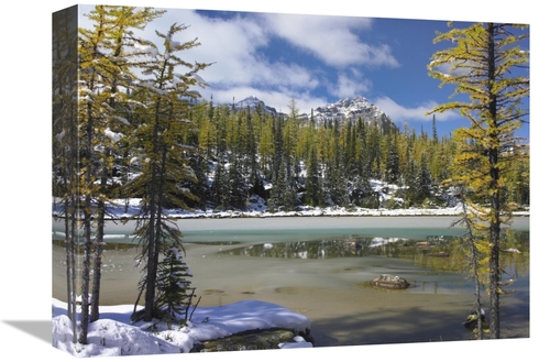 Global Gallery GCS-397087-1216-142 12 x 16 in. Boreal Forest in Light 