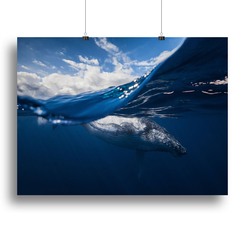 Humpback Whale And The Sky Canvas Print or Poster