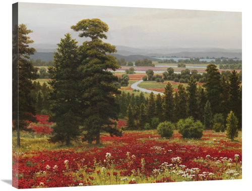 Global Gallery GCS-132470-2835-142 28 x 35 in. Blooms Above the Valley