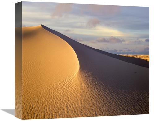 Global Gallery GCS-396372-16-142 16 in. Sand Dune, White Sands Nat