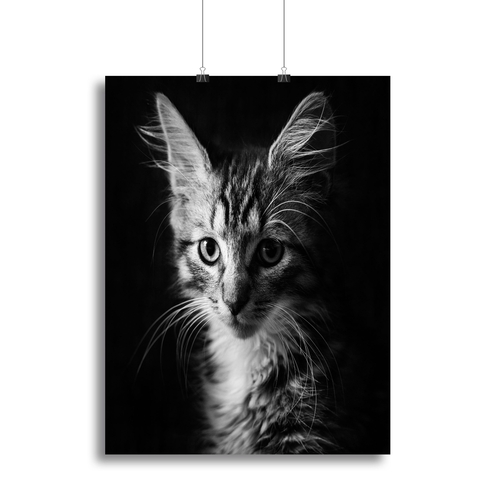 Laban Canvas Print or Poster