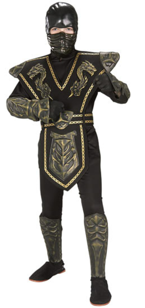 Rubies Costumes 155857 Ancient Dynasty Ninja Child Costume Size: Large