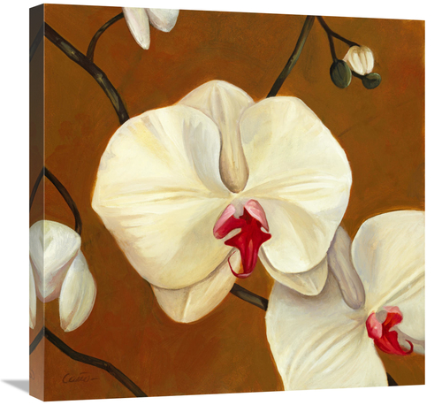 Global Gallery GCS-137411-2424-142 24 x 24 in. Orquideas Blancas I Art