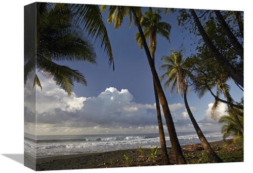 Global Gallery GCS-396768-1216-142 12 x 16 in. Palm Trees on the Beach