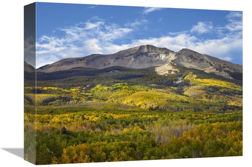 Global Gallery GCS-396799-1216-142 12 x 16 in. Aspen Forest & East Bec
