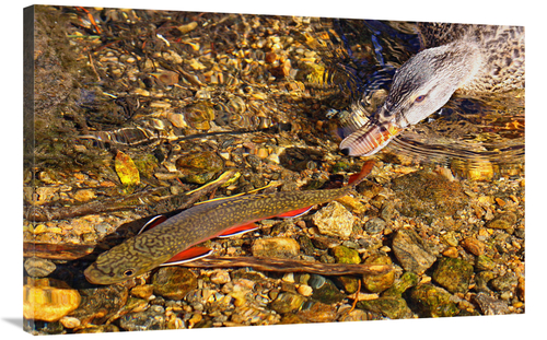 Global Gallery GCS-486590-40-142 40 in. The Chase Art Print - Vic Sche