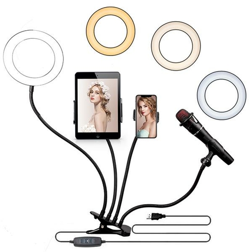 6" 4 in 1 Desktop Clip Light Set