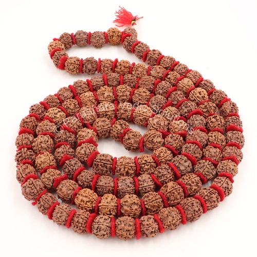 Rudraksh Kantha/Rudraksha Kantha for wearing and worship/Rudraksh Mala